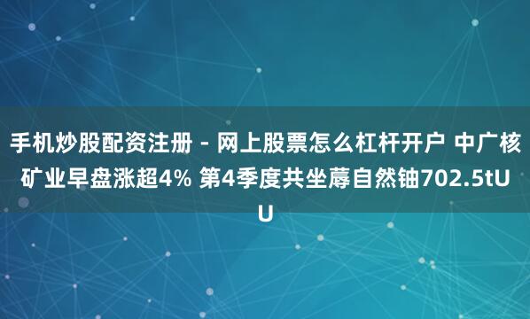 手机炒股配资注册 - 网上股票怎么杠杆开户 中广核矿业早盘涨超4% 第4季度共坐蓐自然铀702.5tU